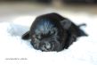 DSC_8971.jpg