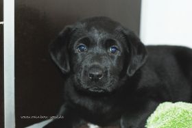 DSC_9169.jpg