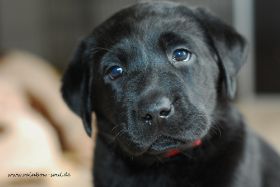 DSC_9171 (1).jpg