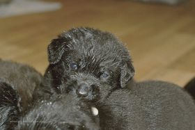 DSC_8277.JPG