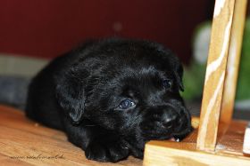 DSC_8391.JPG