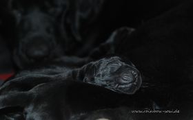 DSC_8882.jpg